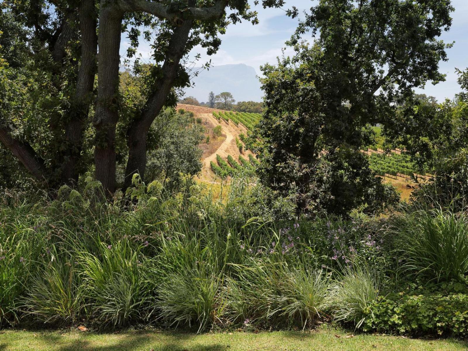Constantia Klein Villa *